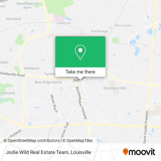 Jodie Wild Real Estate Team map