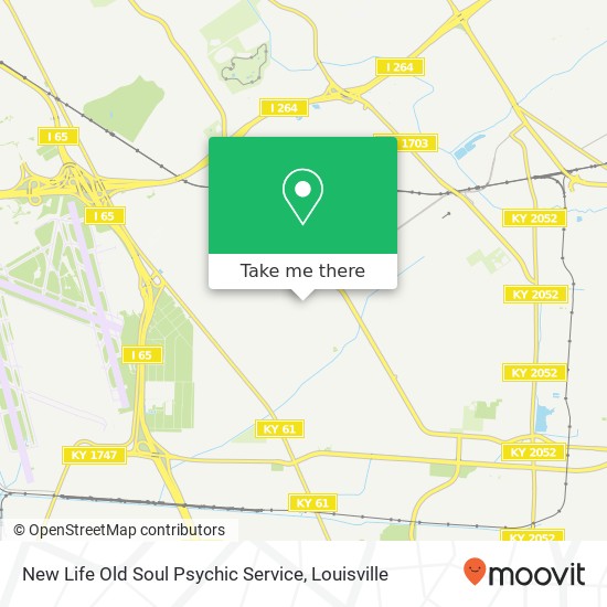 New Life Old Soul Psychic Service map