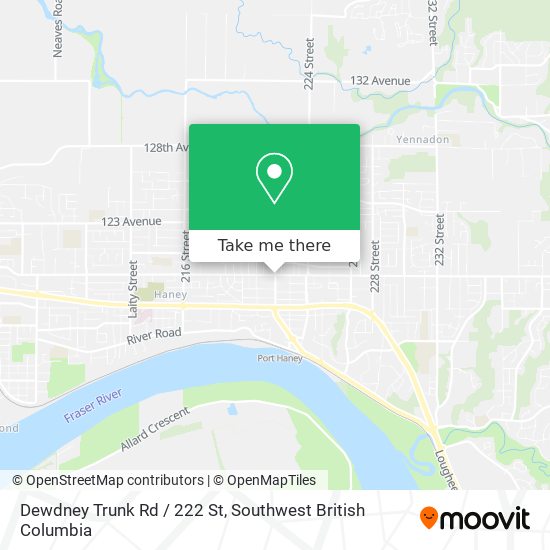 Dewdney Trunk Rd / 222 St plan
