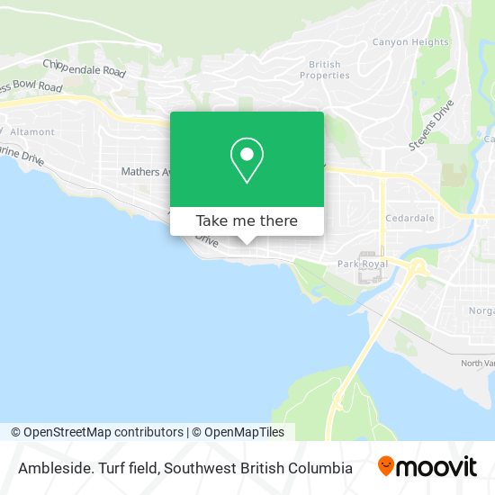 Ambleside. Turf field map