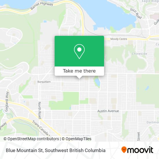 Blue Mountain St map