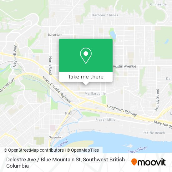 Delestre Ave / Blue Mountain St map