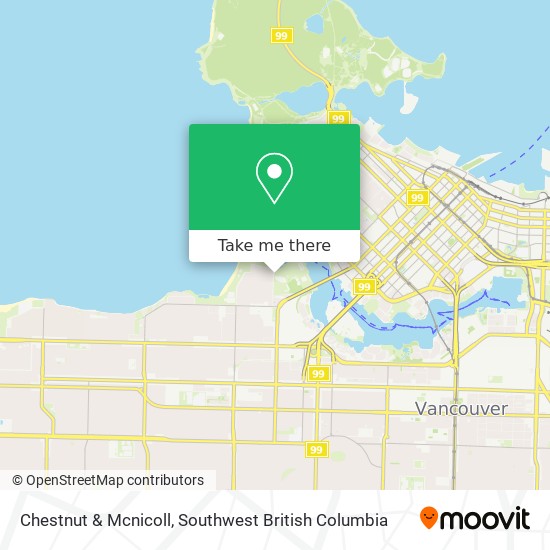 Chestnut & Mcnicoll map