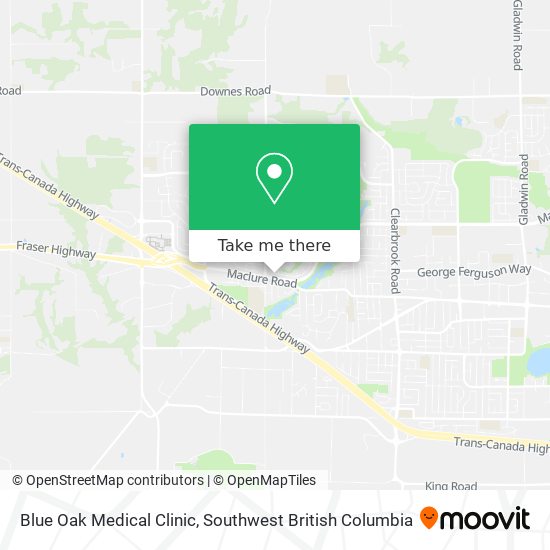 Blue Oak Medical Clinic plan