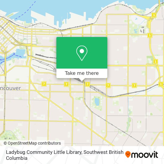 Ladybug Community Little Library plan