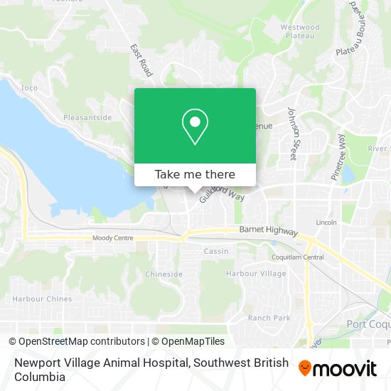 Newport Village Animal Hospital map