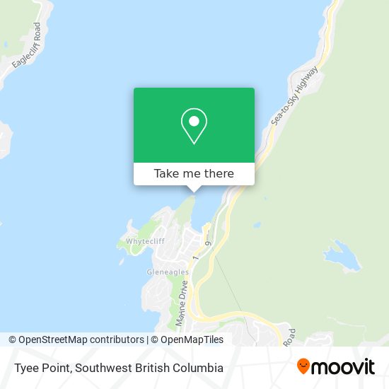 Tyee Point plan