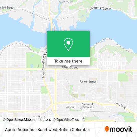 April's Aquarium plan