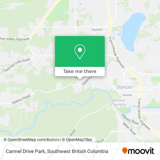Carmel Drive Park plan