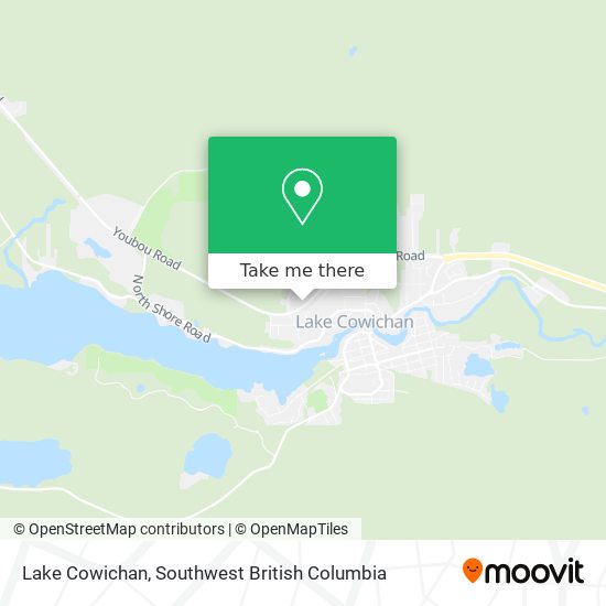 Lake Cowichan plan