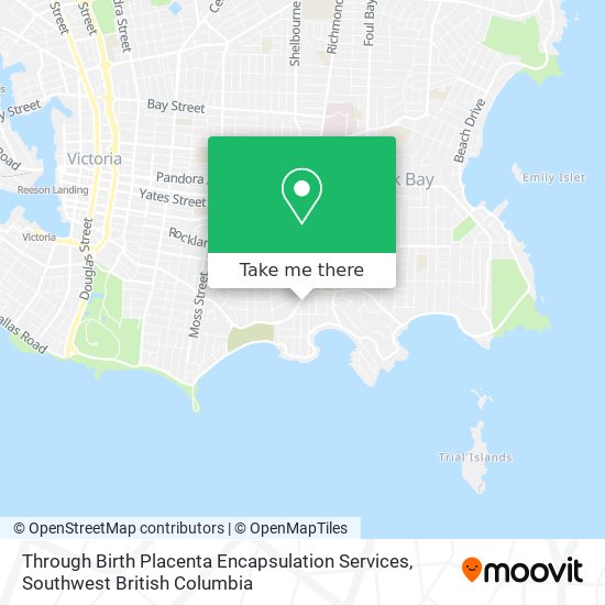 Through Birth Placenta Encapsulation Services map