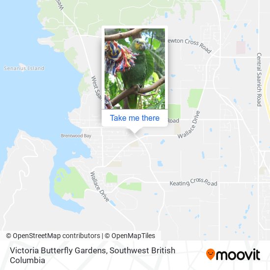 Victoria Butterfly Gardens plan