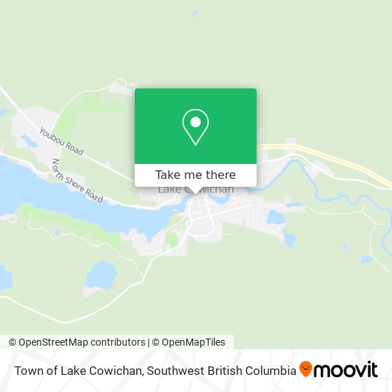 Town of Lake Cowichan map