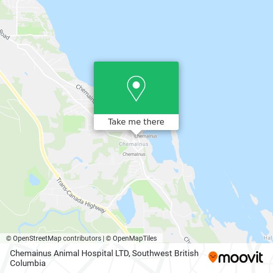 Chemainus Animal Hospital LTD map