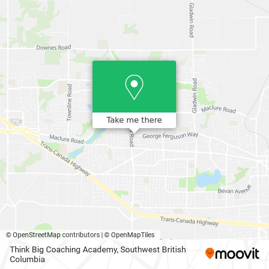 Think Big Coaching Academy plan