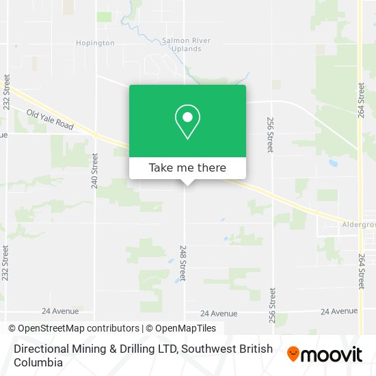 Directional Mining & Drilling LTD plan