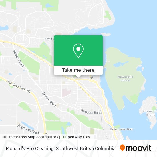 Richard's Pro Cleaning map