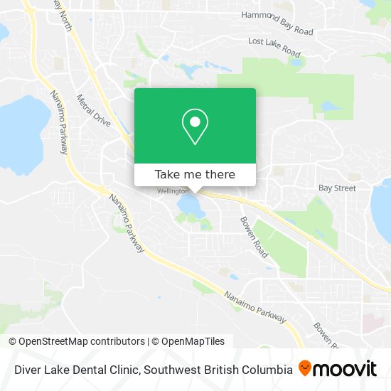 Diver Lake Dental Clinic plan