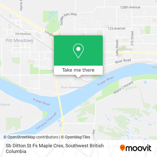 Sb Ditton St Fs Maple Cres map