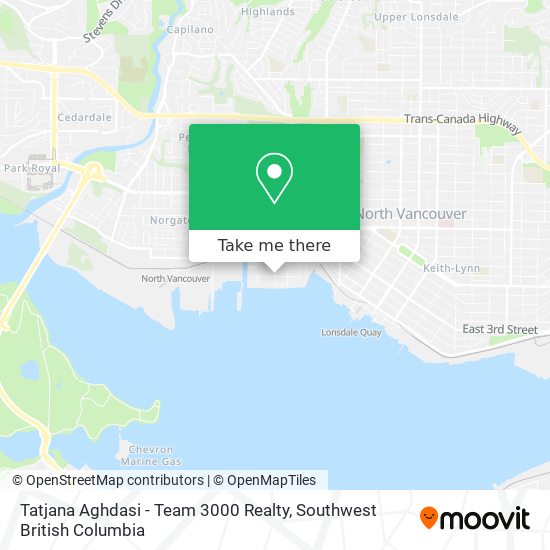 Tatjana Aghdasi - Team 3000 Realty map