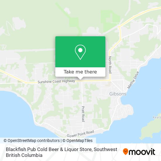 Blackfish Pub Cold Beer & Liquor Store plan