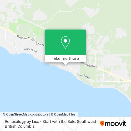 Reflexology by Lisa - Start with the Sole map