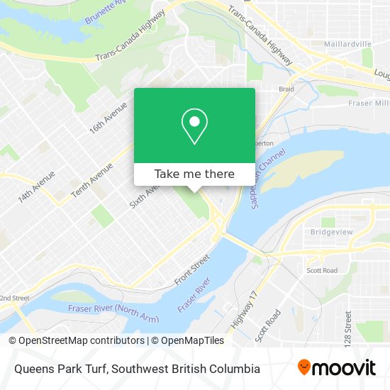 Queens Park Turf plan