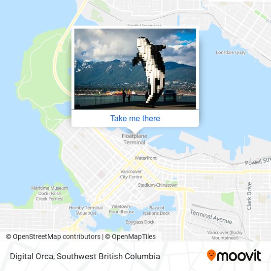 Digital Orca plan