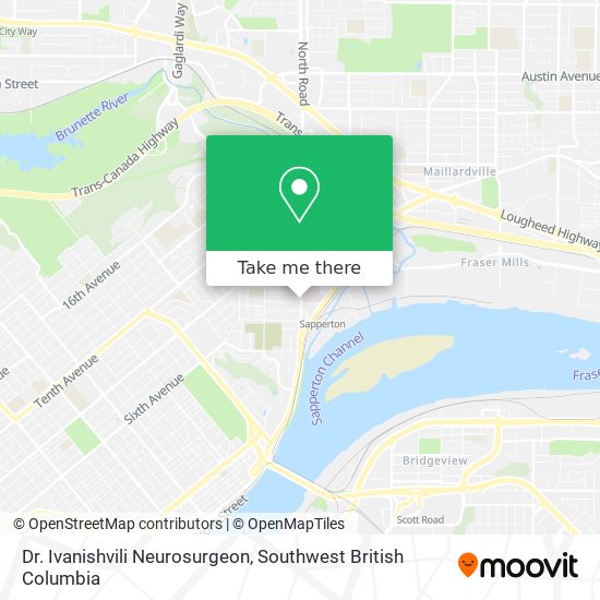Dr. Ivanishvili Neurosurgeon plan