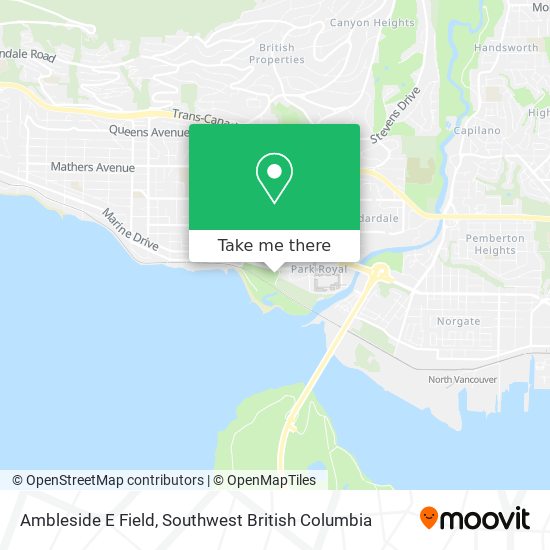 Ambleside E Field plan