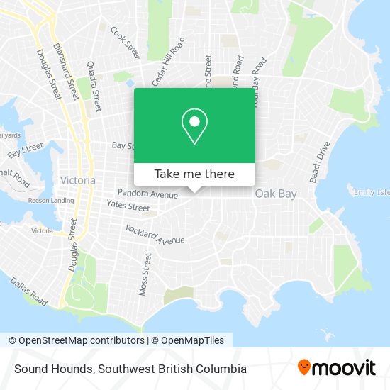 Sound Hounds plan