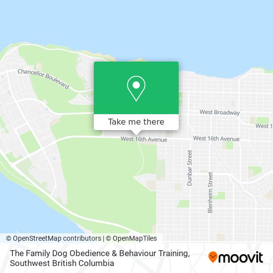 The Family Dog Obedience & Behaviour Training plan