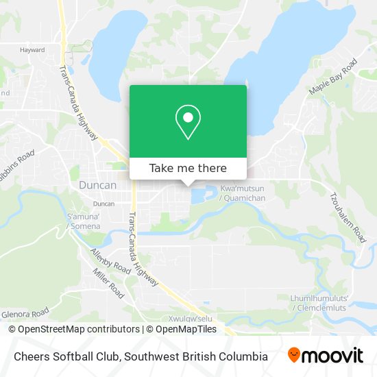 Cheers Softball Club plan