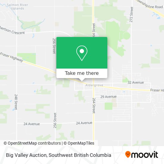 Big Valley Auction plan