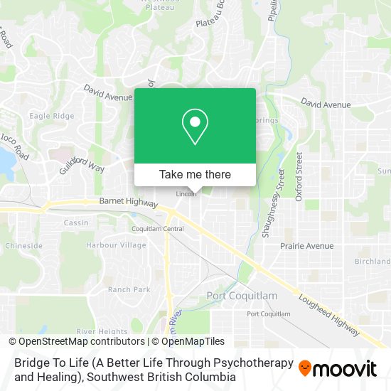 Bridge To Life (A Better Life Through Psychotherapy and Healing) map