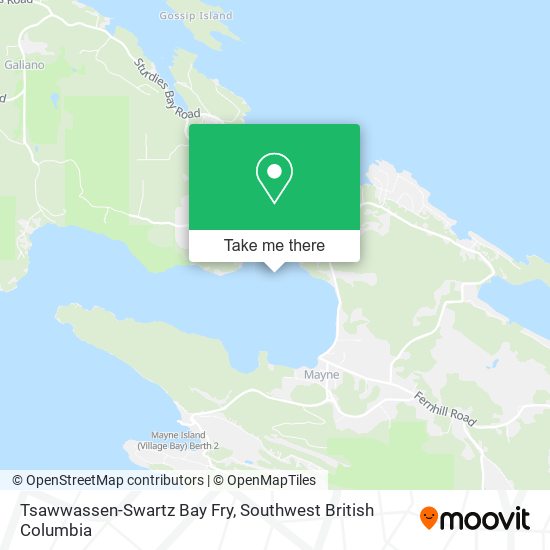 Tsawwassen-Swartz Bay Fry plan