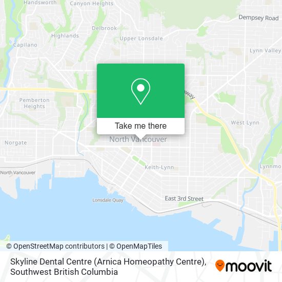 Skyline Dental Centre (Arnica Homeopathy Centre) plan