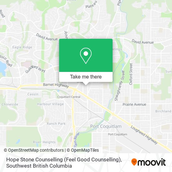 Hope Stone Counselling (Feel Good Counselling) plan