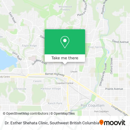 Dr. Esther Shehata Clinic plan
