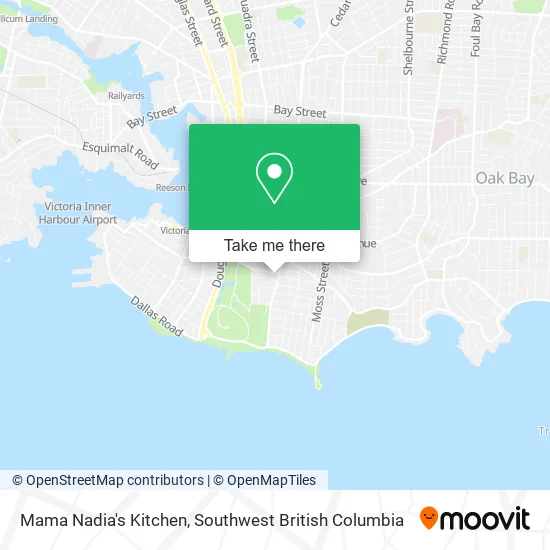 Mama Nadia's Kitchen plan