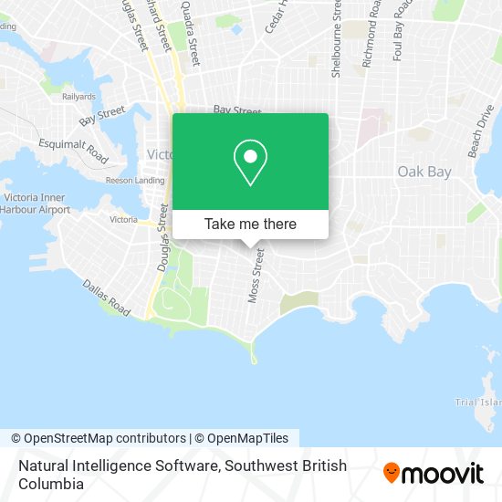Natural Intelligence Software map