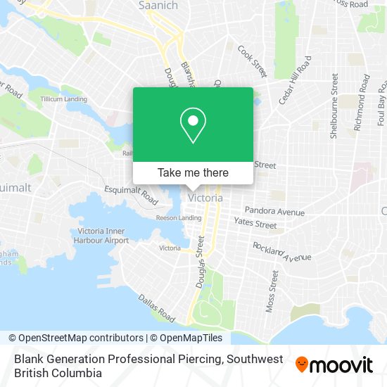 Blank Generation Professional Piercing map