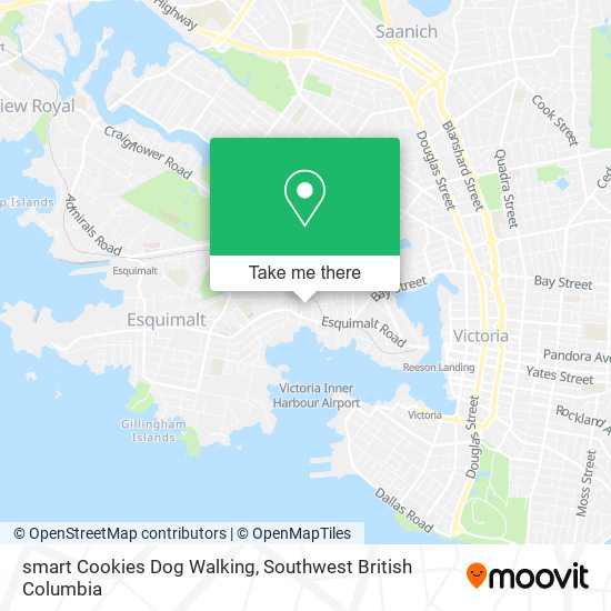 smart Cookies Dog Walking map