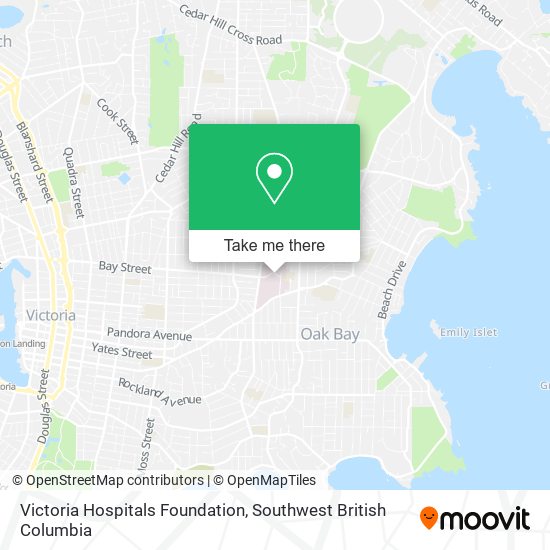 Victoria Hospitals Foundation plan