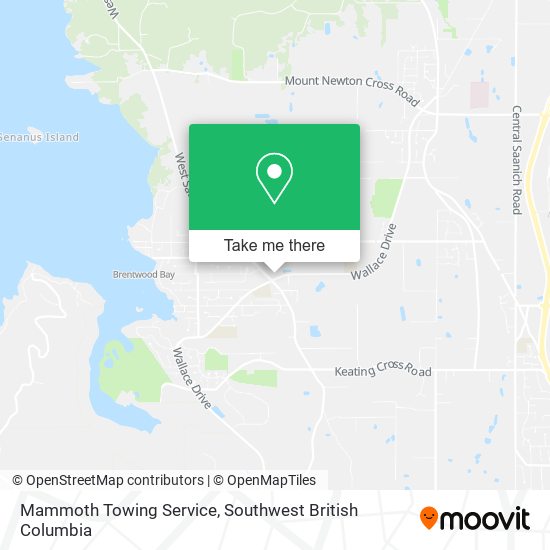 Mammoth Towing Service map