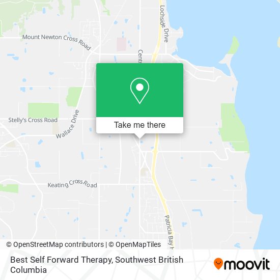 Best Self Forward Therapy map