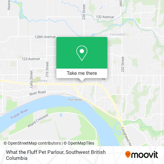 What the Fluff Pet Parlour map