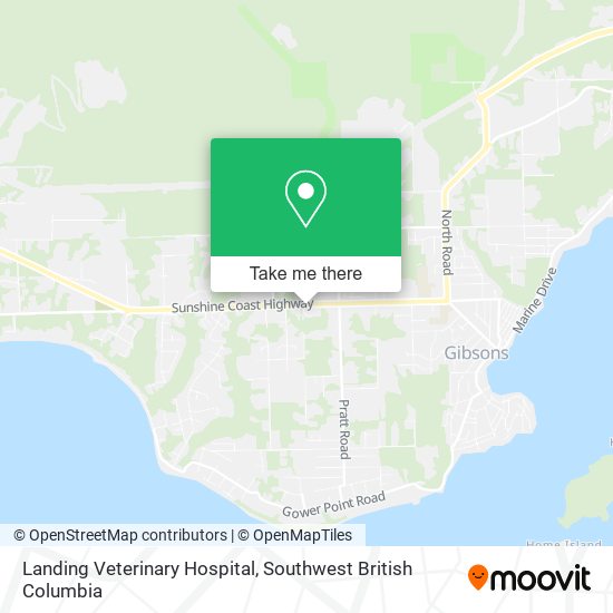 Landing Veterinary Hospital plan
