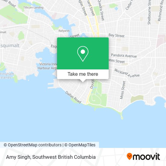 Amy Singh map