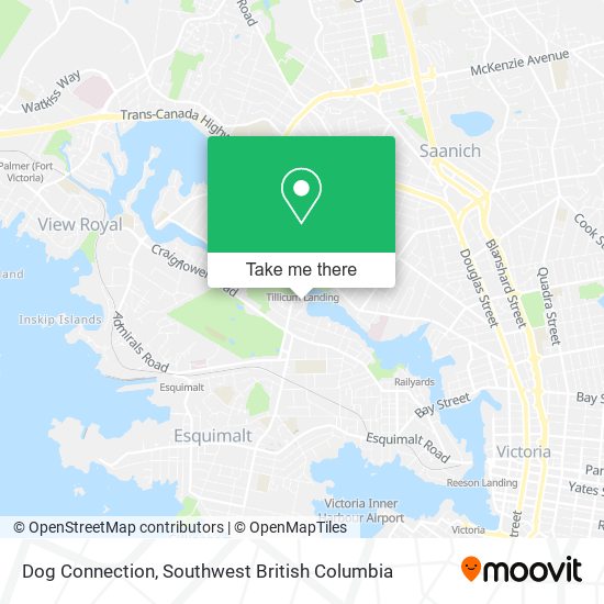 Dog Connection plan